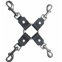 chains, carabiners