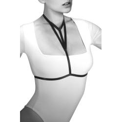 Harnesses 